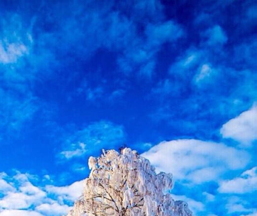 美萍会员管理系统免费版