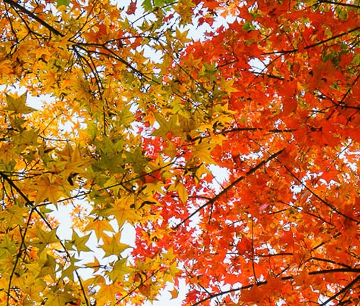 淘宝宝贝怎么上架视频