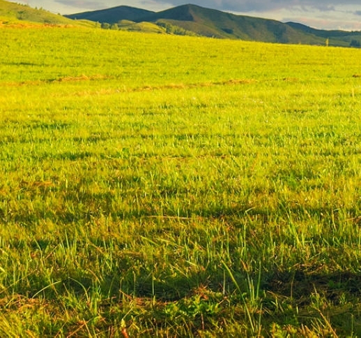 一瓶粉象多少毫升