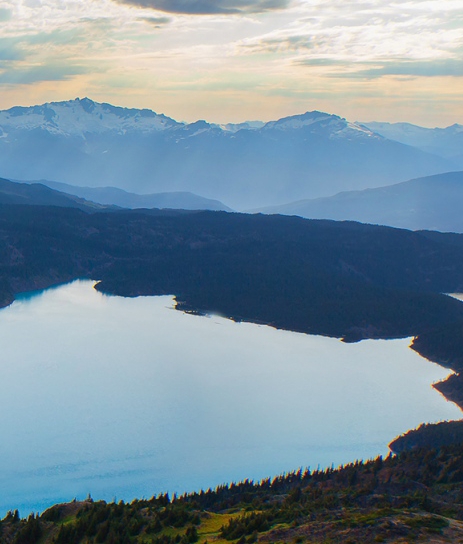粉象啤酒多少钱一瓶