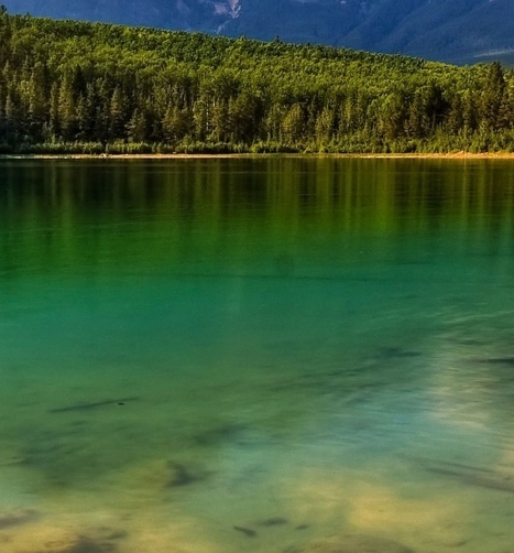 粉象生活模式合法吗