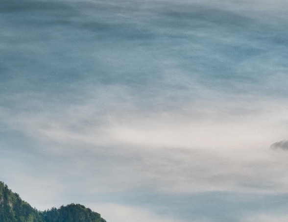 粉象生活是真的假的