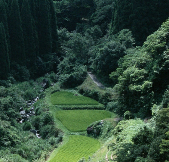 粉象生活邀请码