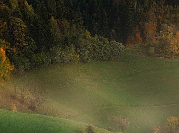 粉象生活是个什么东西