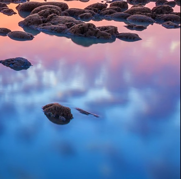 粉象生活的佣金未到账