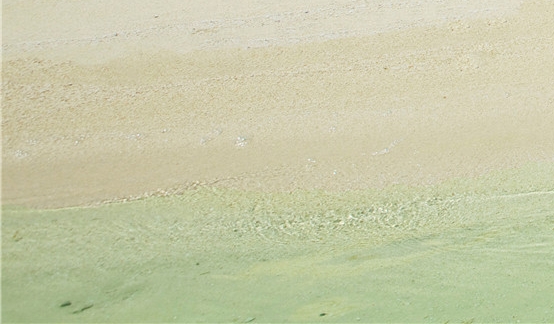 阿里妈妈和粉象生活