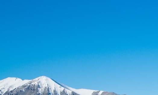 粉象生活提现需要手续费吗