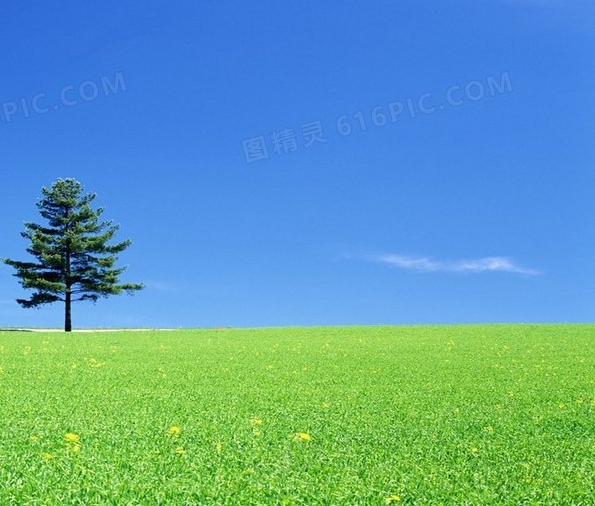 粉象生活提现到哪里