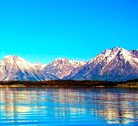 粉象VIP怎么这么难招