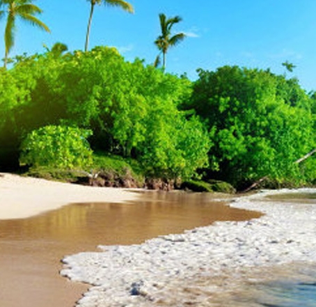 粉象生活为什么必须要邀请码