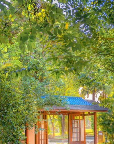 粉象生活真能省钱吗