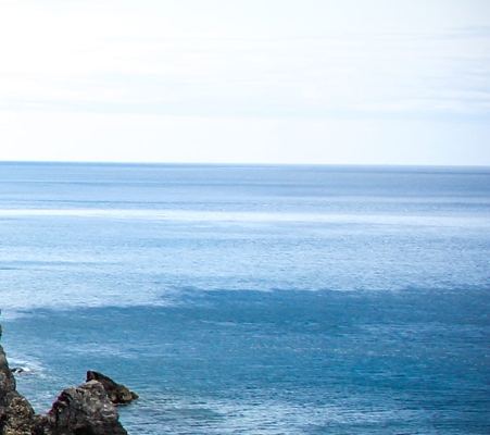 粉象生活未结算收益怎么提现