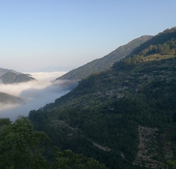 粉象生活是正规软件吗