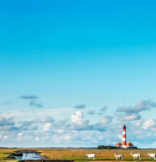 粉象生活邀请码零填325.922