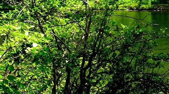 粉象生活必须有邀请码才能用吗