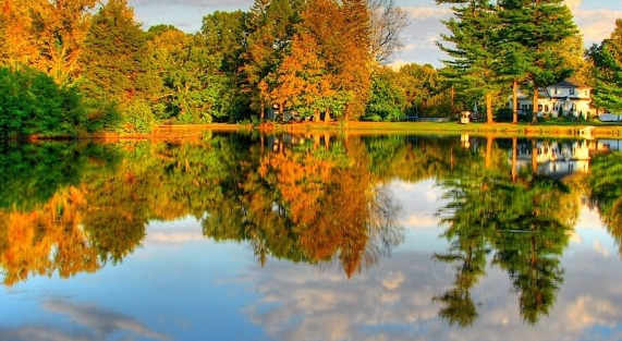 粉象普通会员拿几级佣金