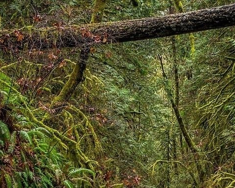 粉象生活注册账户怎么注销