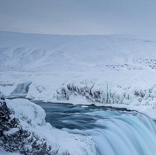 粉象生活怎么举报