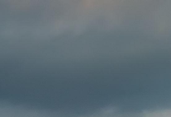 粉象生活是做什么的