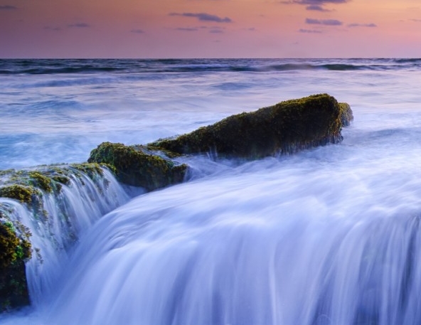 粉象的返利是多少