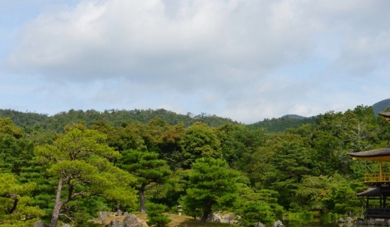粉象生活加入购物车有返利吗