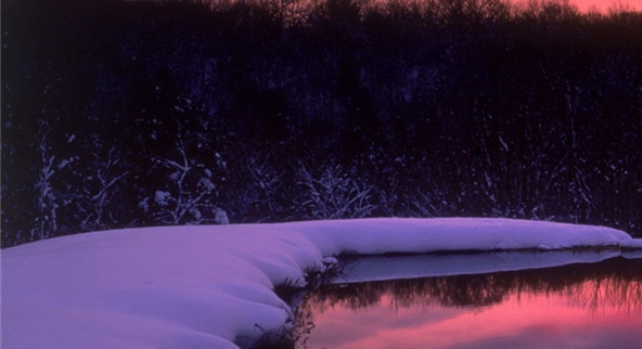 粉象生活京东加购物车购买