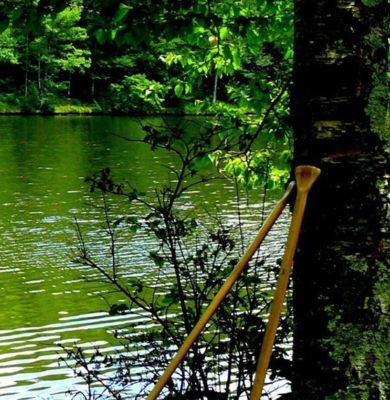 粉象生活官网填j7ztkj送vip