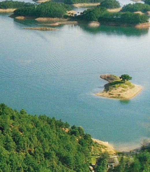 浅粉象图片