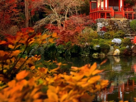 粉兔生活试用平台