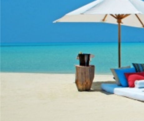 三星白兰地的母酒贮藏期是多少年