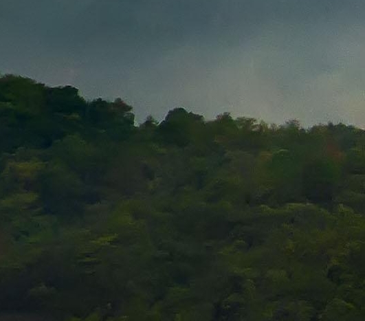 粉象闲鱼赚差价