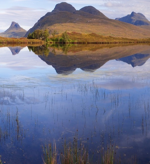 干红葡萄酒和红葡萄酒的区别