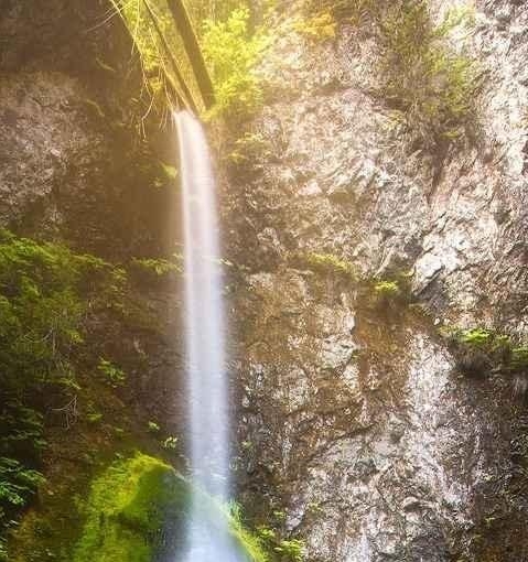 币安币有什么用