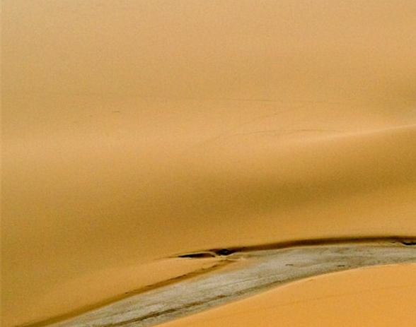 粉象啤酒 进入国内 2011年