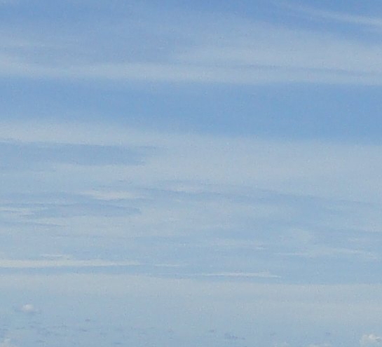 粉象生活买的东西是真的吗