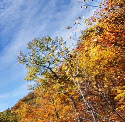 粉象生活赚钱容易吗