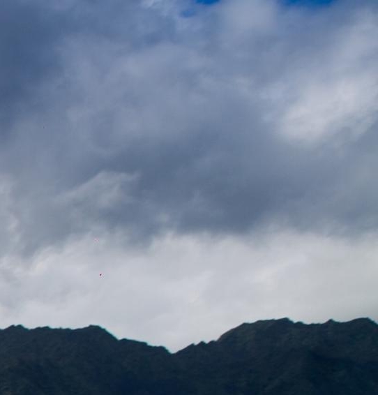 粉象生活骗局大揭秘