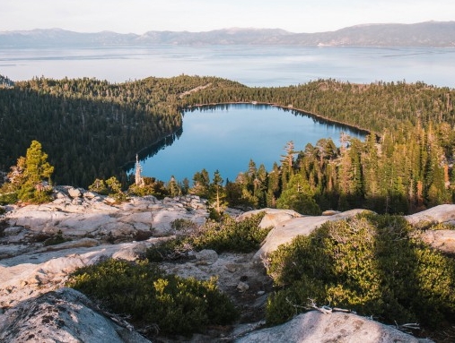 浅粉象和深粉象区别