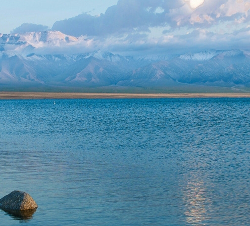 粉象生活 官方邀请码798661