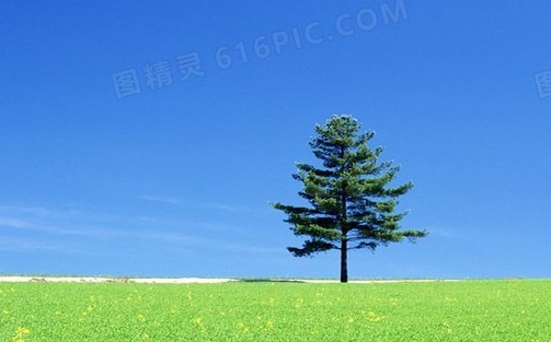 象王洗衣店洗衣粉价格表