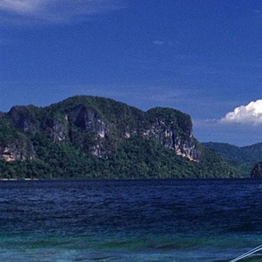 粉象预估收益什么意思