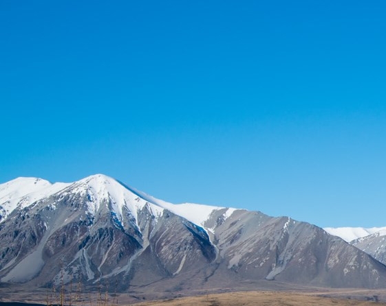 粉象生活累计预估收益是什么