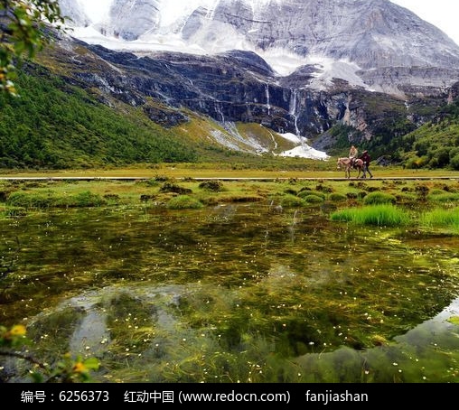 小粉象啤酒多少度