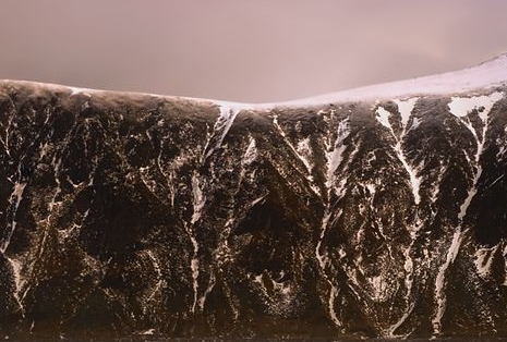 粉象生活邀请一个人有多少佣金