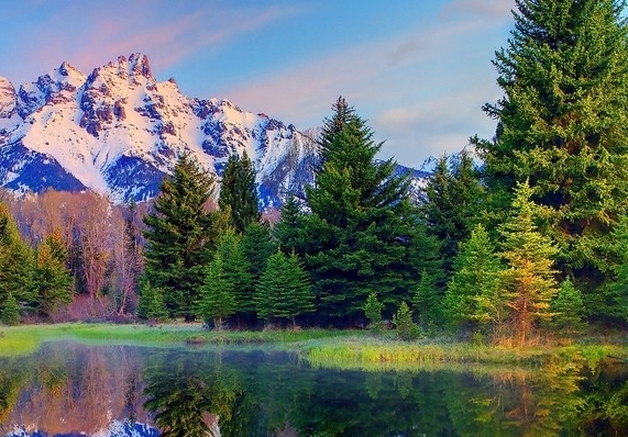 浅粉象啤酒一箱多少瓶