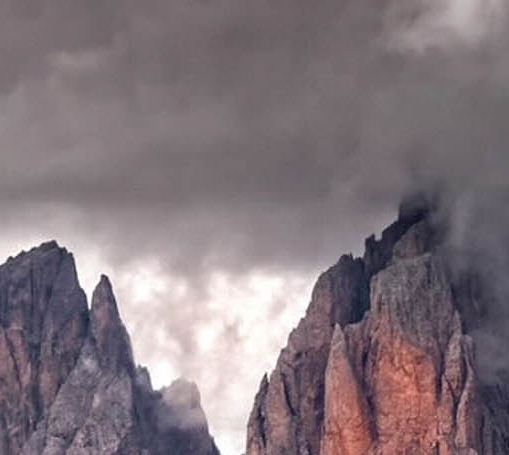 粉象生活是真的假的