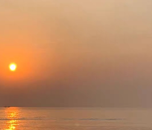 粉象生活必须要买会员吗