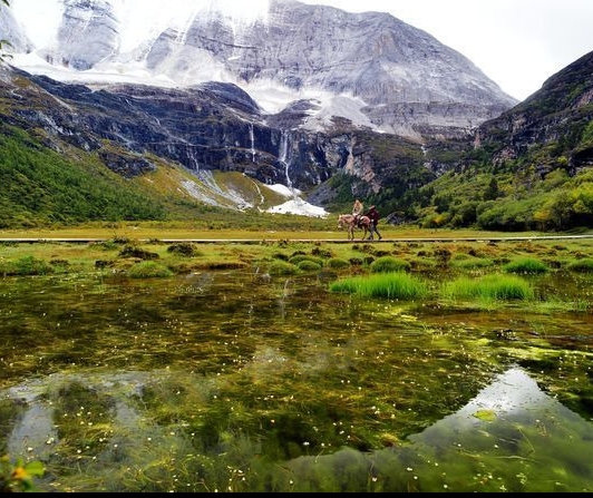 螺蛳粉翻译英文