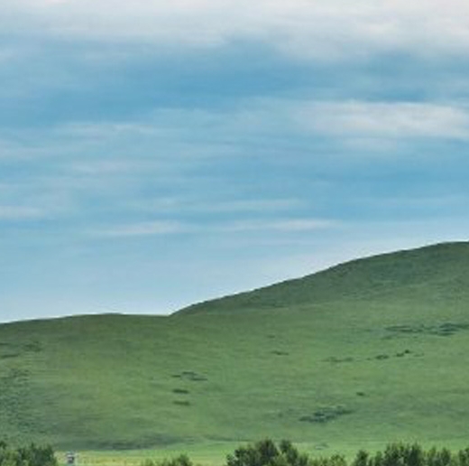 粉象生活app界面