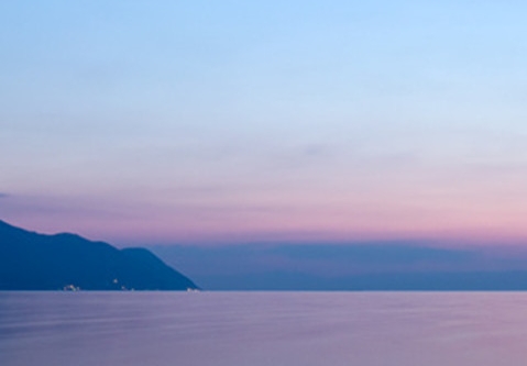 惠鲸和粉象生活